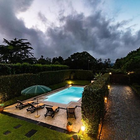 Casa Do Pinheiro With Shared Swimming Pool Villa São Vicente Ferreira Kültér fotó