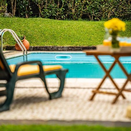 Casa Do Pinheiro With Shared Swimming Pool Villa São Vicente Ferreira Kültér fotó