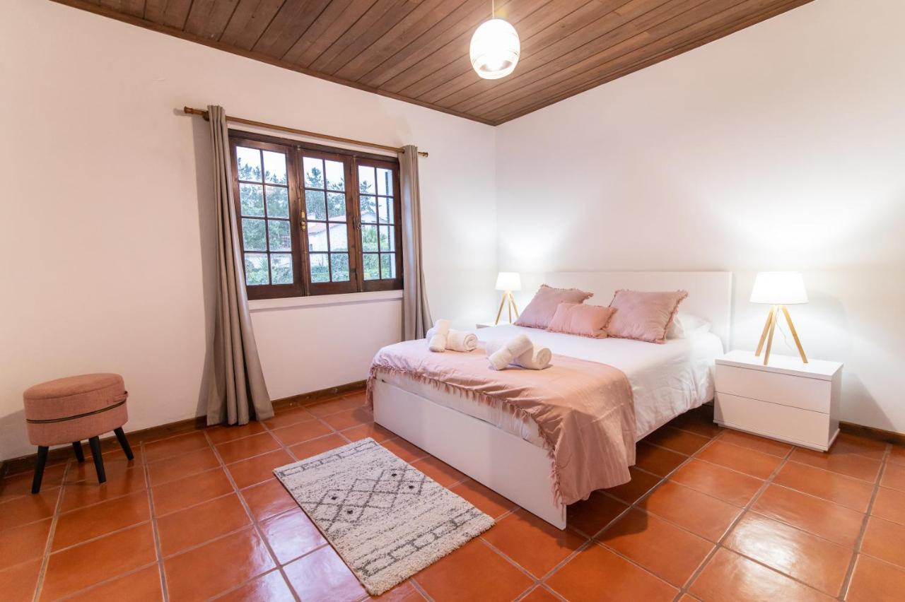 Casa Do Pinheiro With Shared Swimming Pool Villa São Vicente Ferreira Kültér fotó