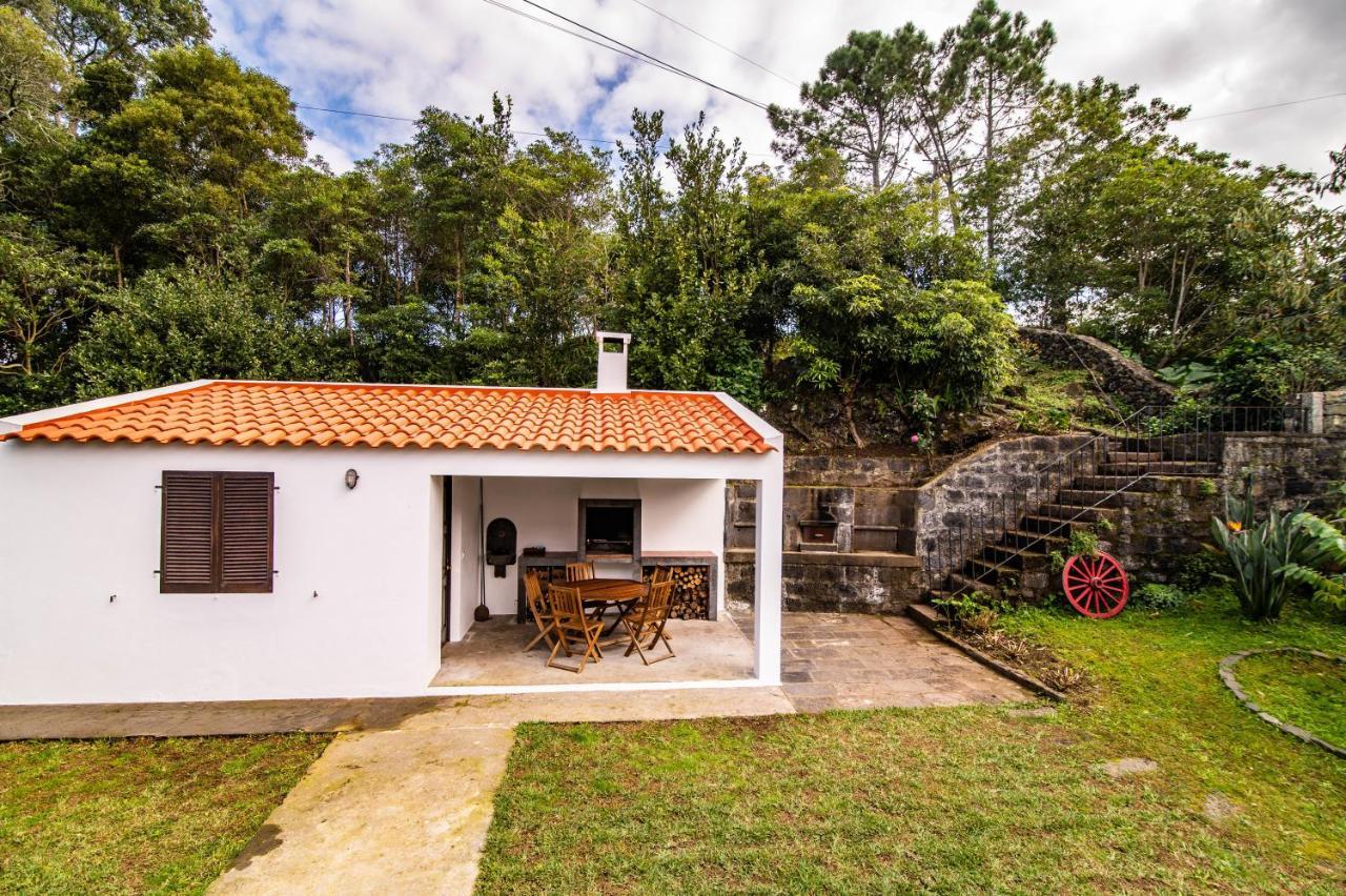 Casa Do Pinheiro With Shared Swimming Pool Villa São Vicente Ferreira Kültér fotó