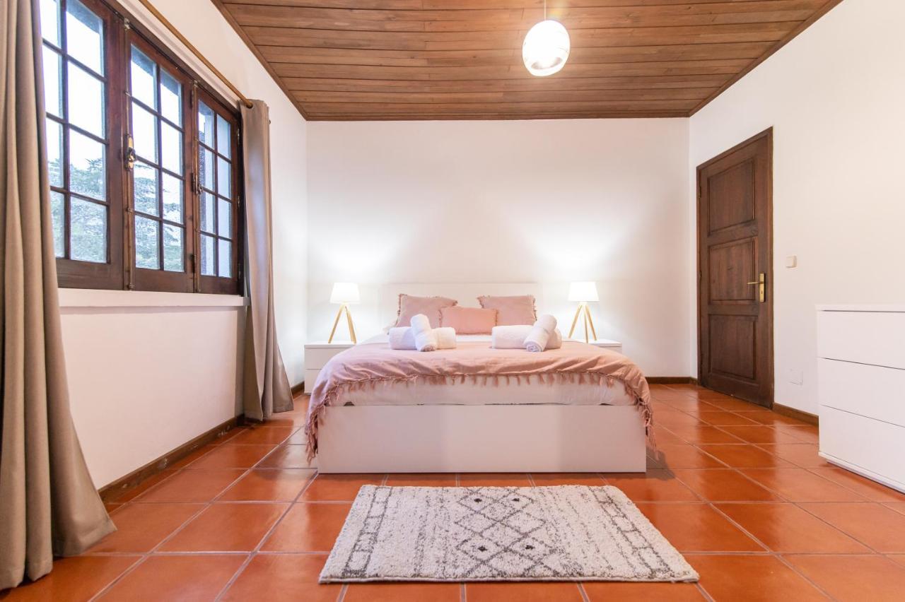 Casa Do Pinheiro With Shared Swimming Pool Villa São Vicente Ferreira Kültér fotó